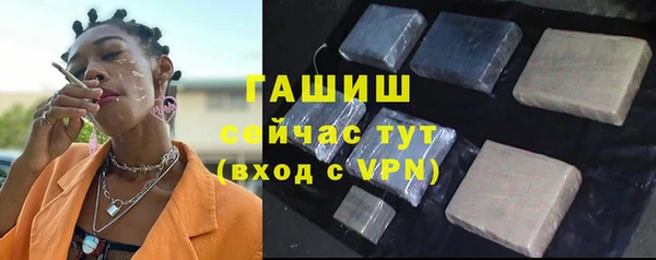 мет Няндома