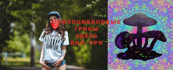 мет Няндома