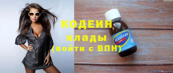 мет Няндома